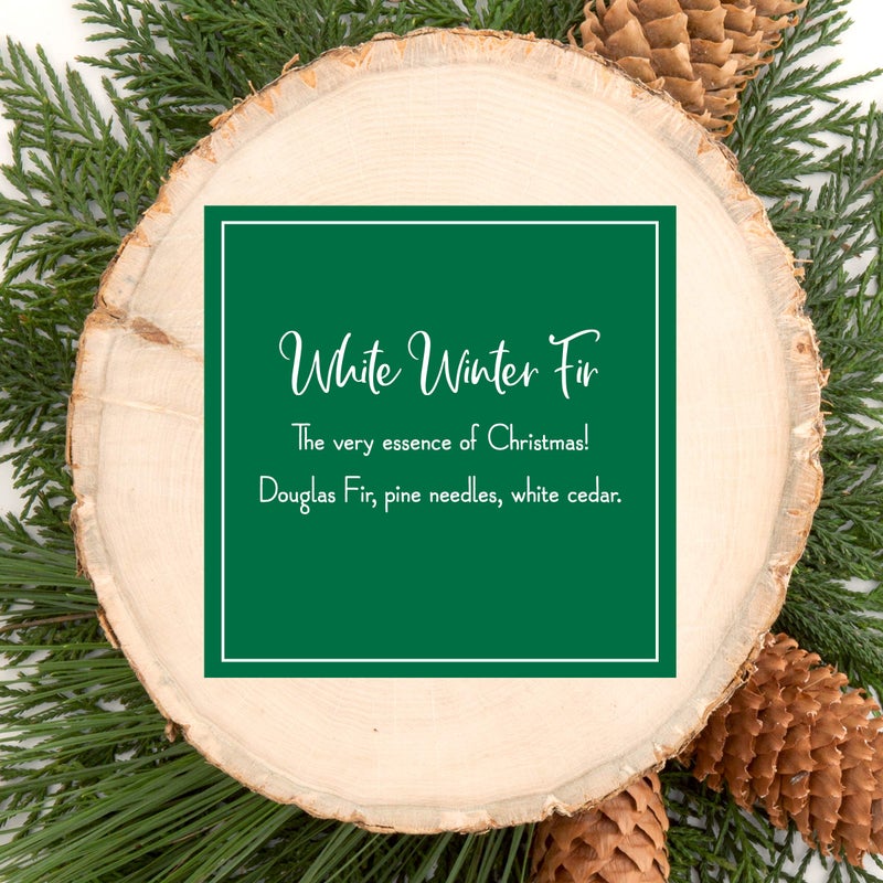 Scentsicles - 04314-024 Scented Christmas Ornaments for Christmas Tree, All Natural Holiday Air Freshener (White Winter Fir Holiday Fragrance) Includes 6 Ornaments & Hooks - Image 4